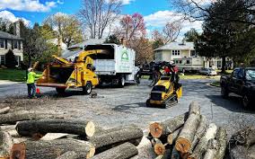 Best Emergency Tree Removal  in Cowan, TN